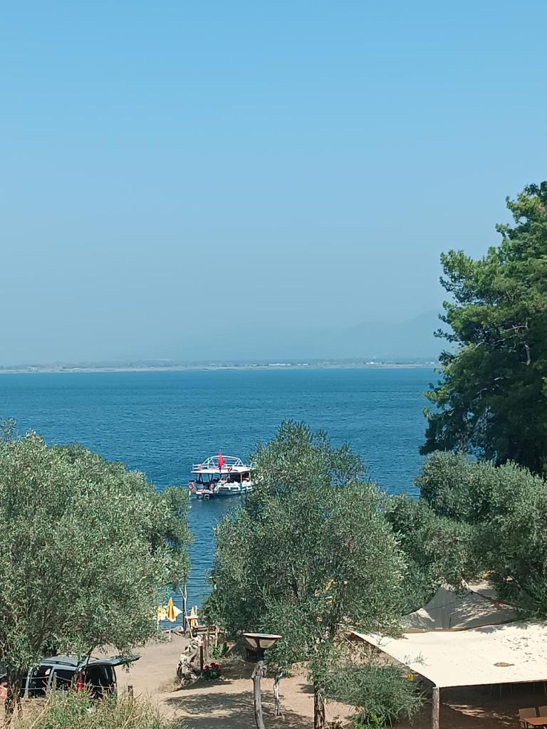 Eses Camping photo 3