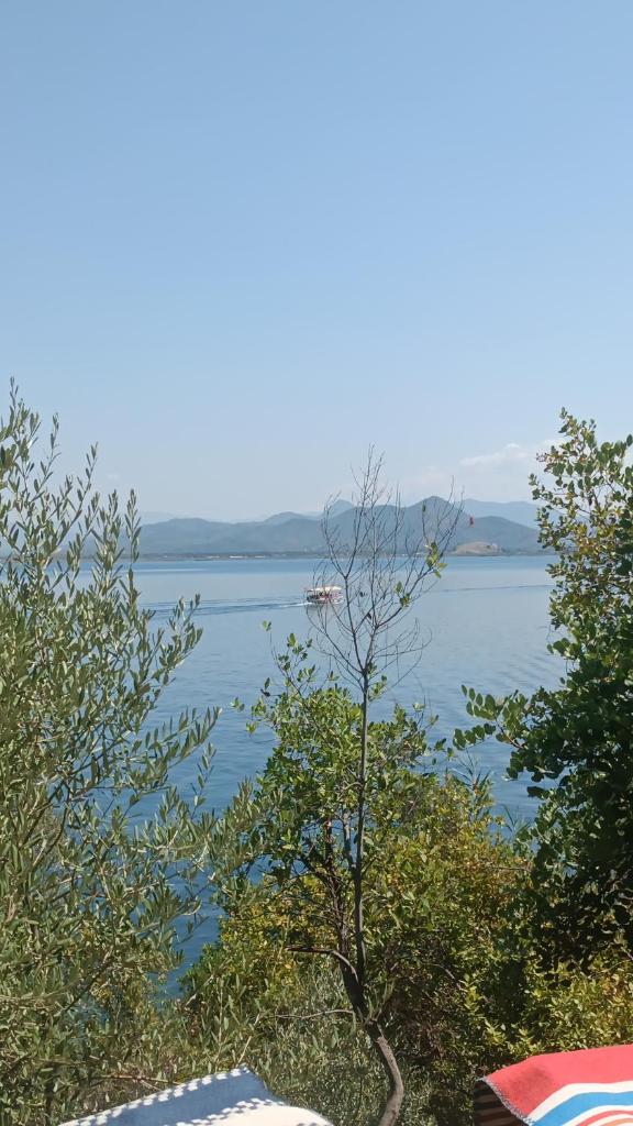 Eses Camping photo 4