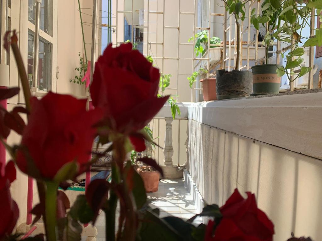 Huong’s Family homestay