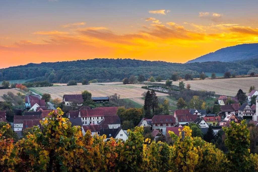 Gîte Vignoble de Cléebourg photo 3