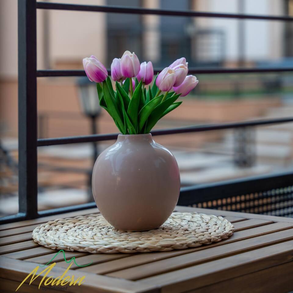 Apartman Modern Zlatibor photo 1