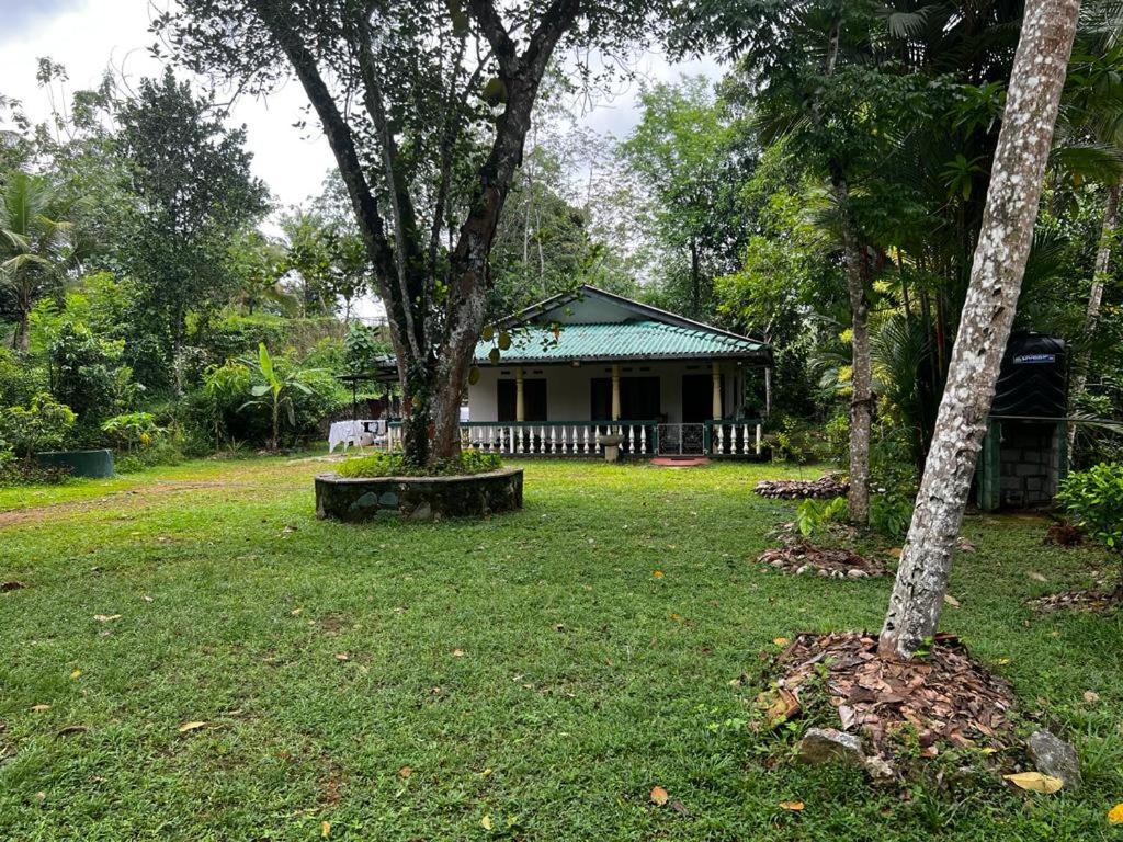 Vegan Nature Resort