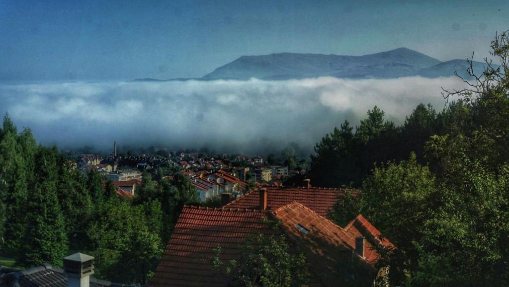 Apartman Borići - vintage photo 1