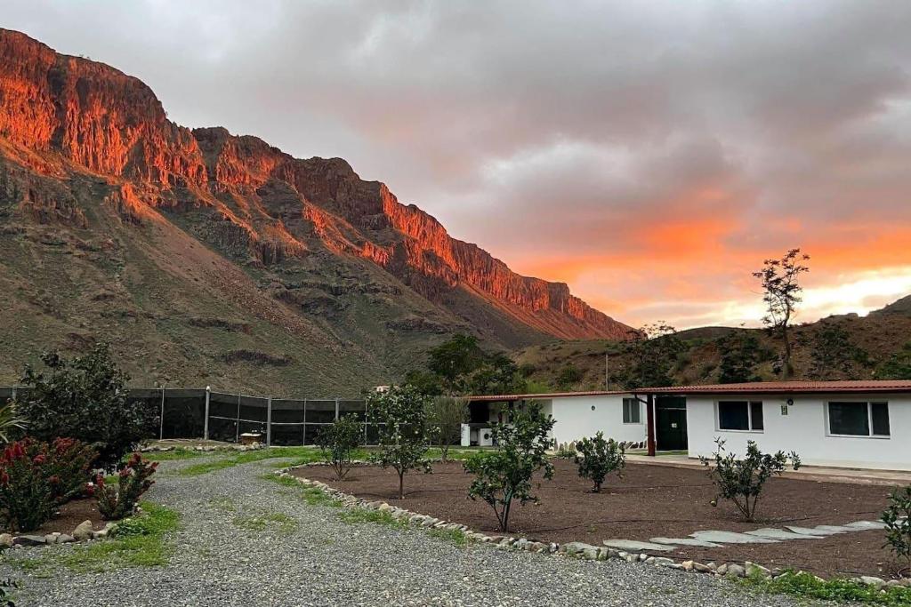 Cosy Apartment in the Mountains near Maspalomas photo 3