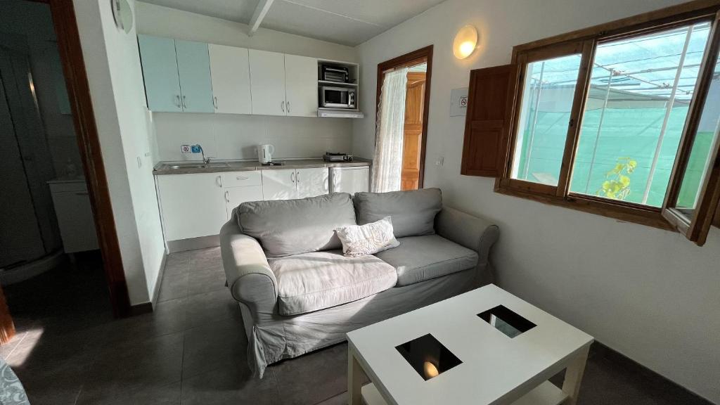 Cosy Country Studio near Maspalomas and Fataga photo 2