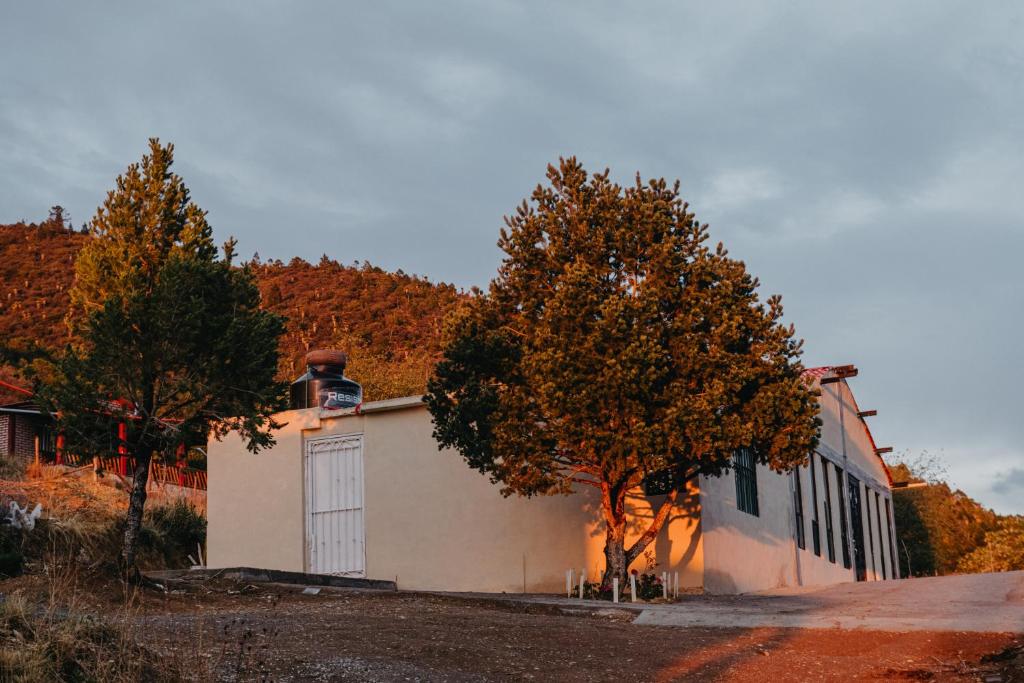 Pinitos Ranch Country House photo 3