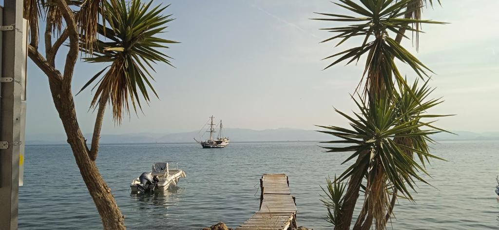 Sailors Luxury Cottage photo 2