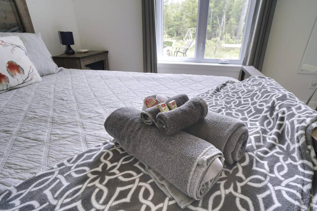 Chalet L'Hérisson (Modern, Spa, BBQ, waterfront) photo 3
