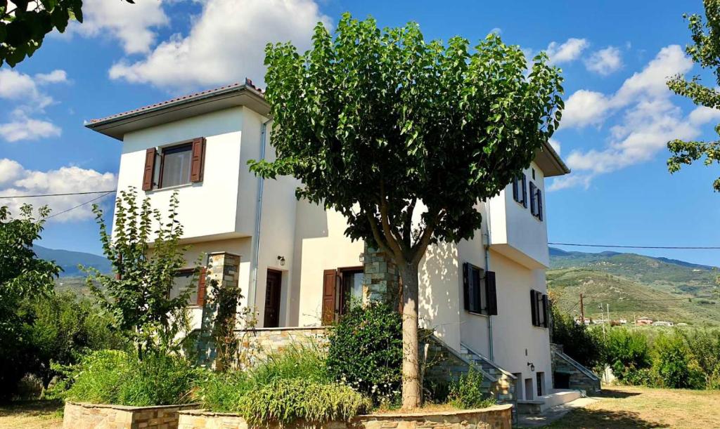 Olive View Cottage in Pelion photo 1