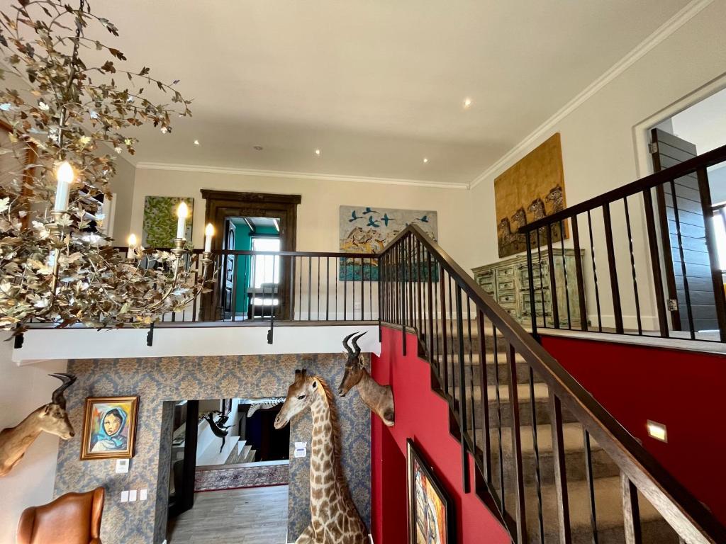 Villa Mejia photo 4