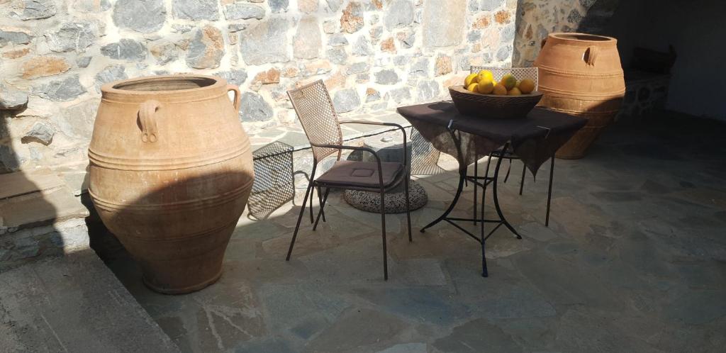 Vilaeti Artemis photo 3