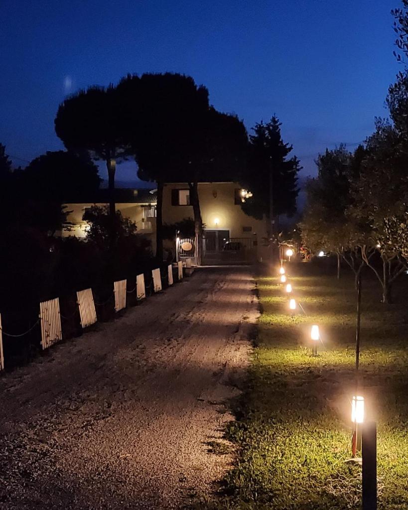CaSAle photo 2