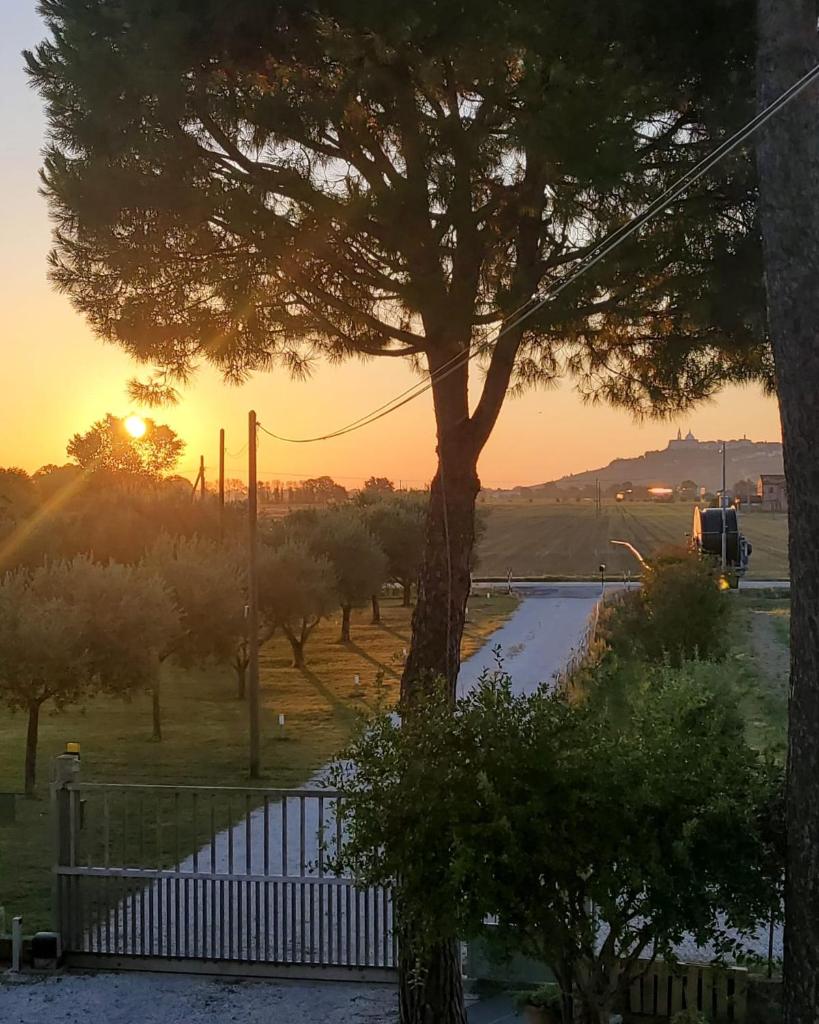 CaSAle photo 1