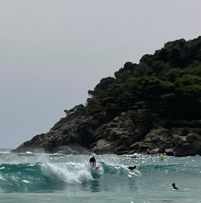 Apartamento en la Playa de la Fosca photo 2