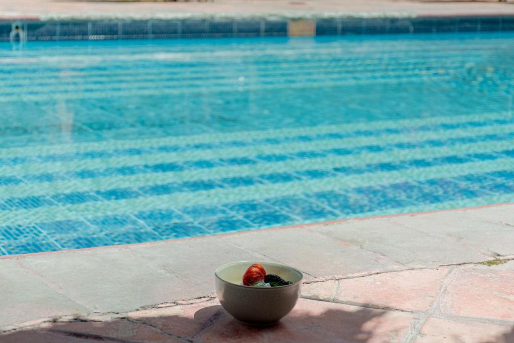 Atotonilco Hotel & Club photo 2