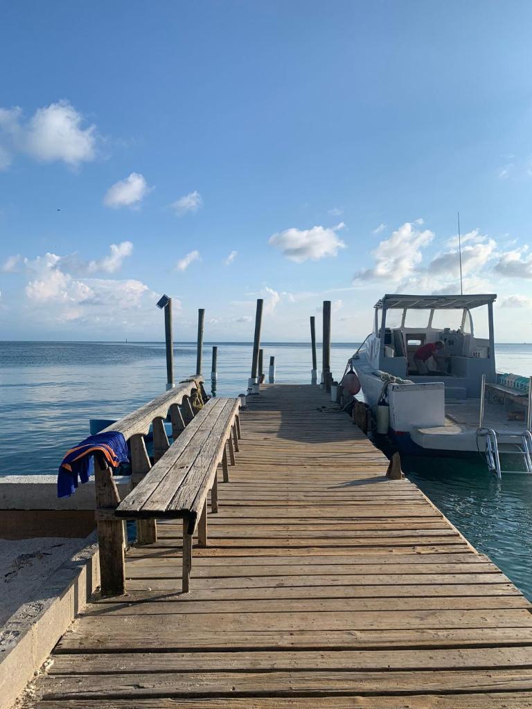 Paradise Divers Hotel photo 1