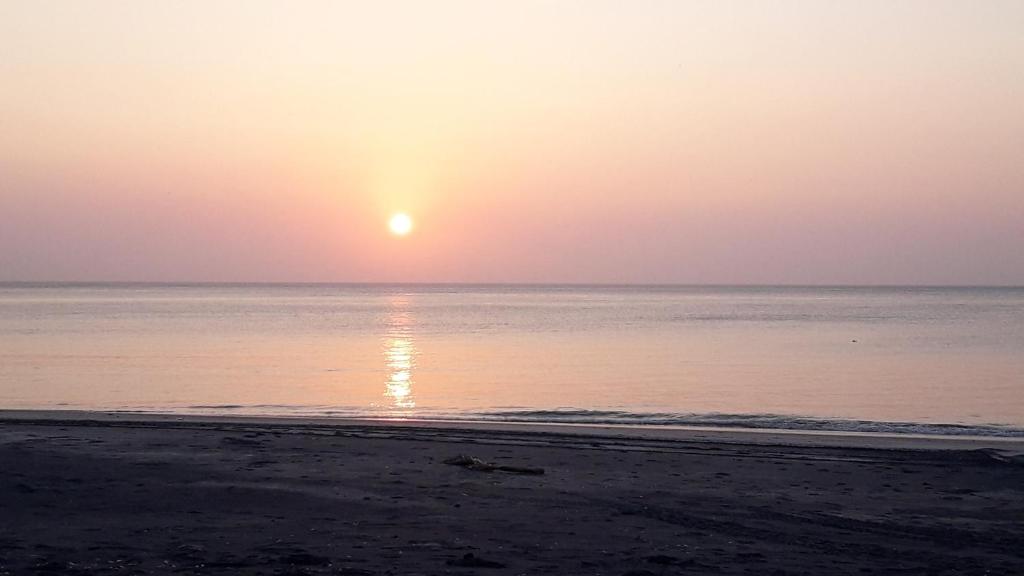 Coronado Beach Paradise photo 3