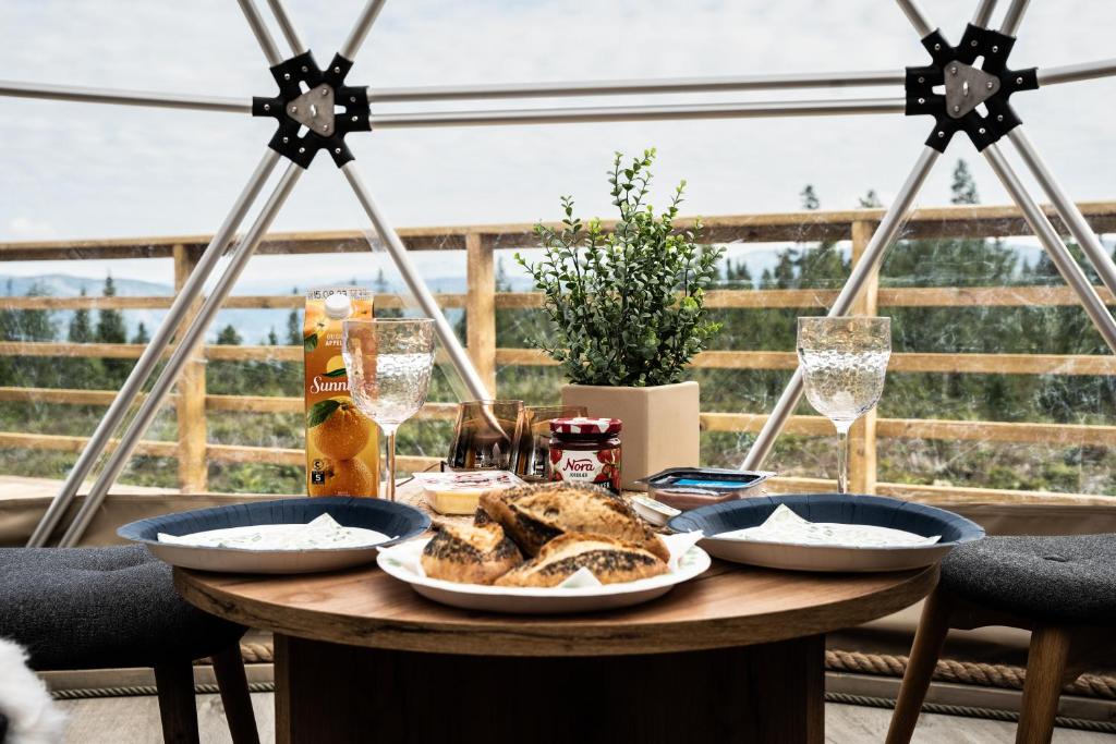 Arctic Dome Gudbrandsdalen photo 3