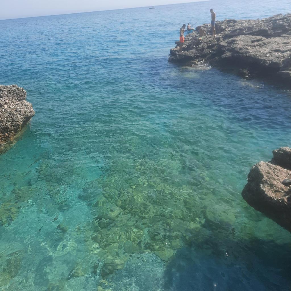 Amet moraci photo 2