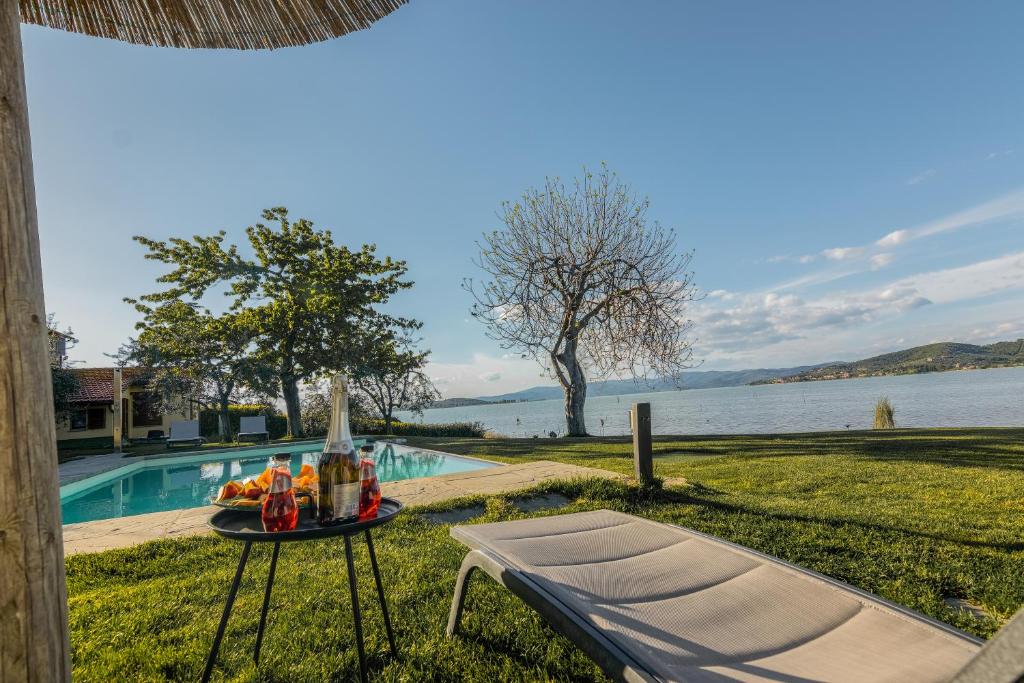 La Folaga del Trasimeno photo 4