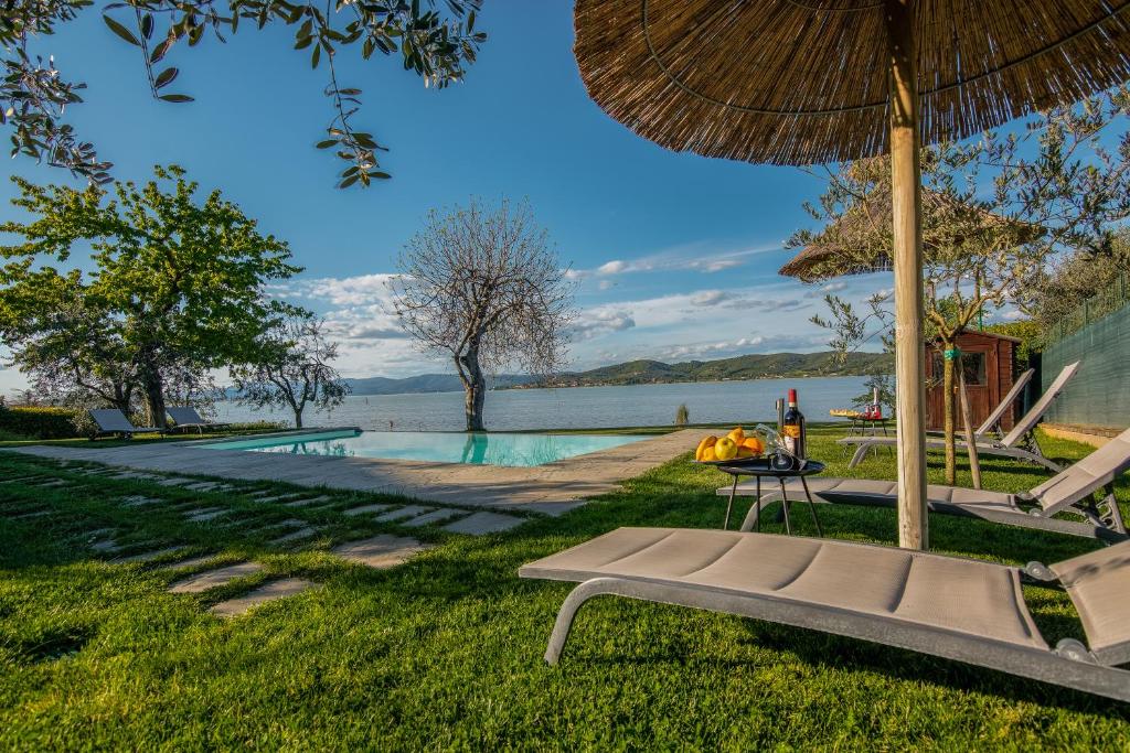 La Folaga del Trasimeno photo 2