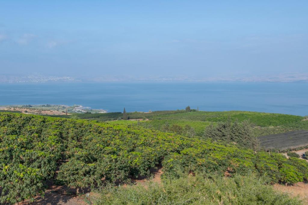 RamotKinneret רמות כינרת photo 2