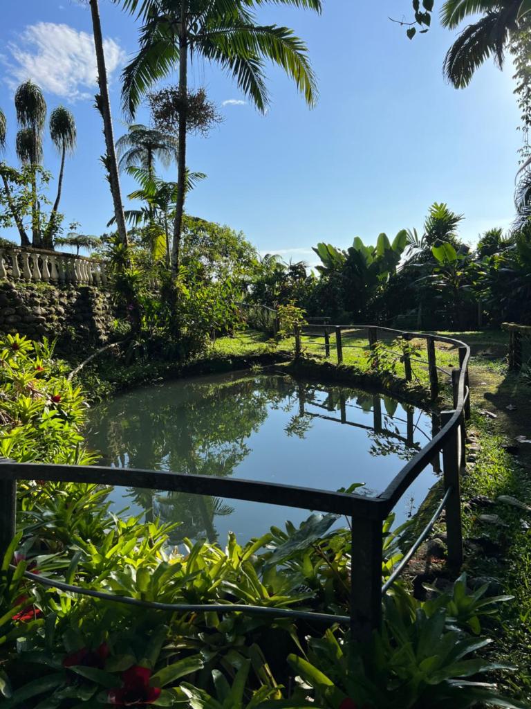 Botanica Gardens and Eco Lodge photo 3