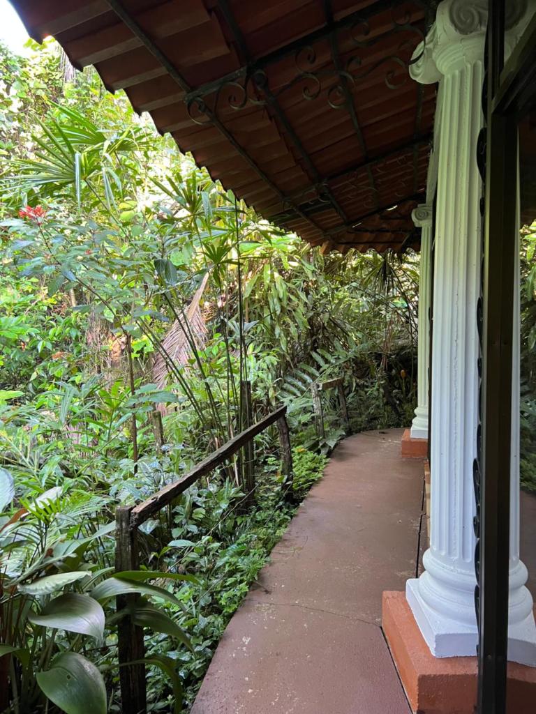 Botanica Gardens and Eco Lodge photo 4