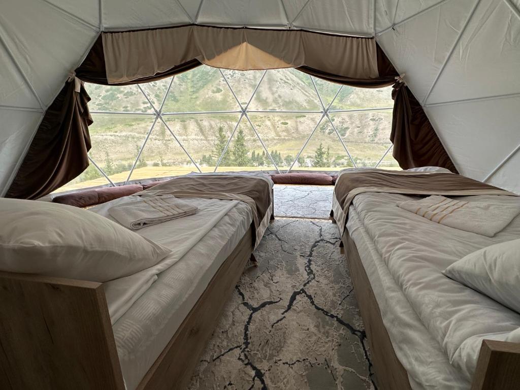 Tenir-Too Glamping photo 4