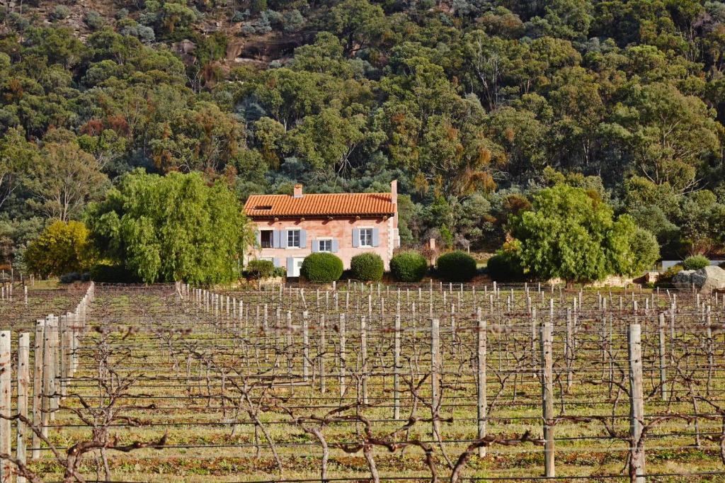 Talits Vineyard Estate photo 2