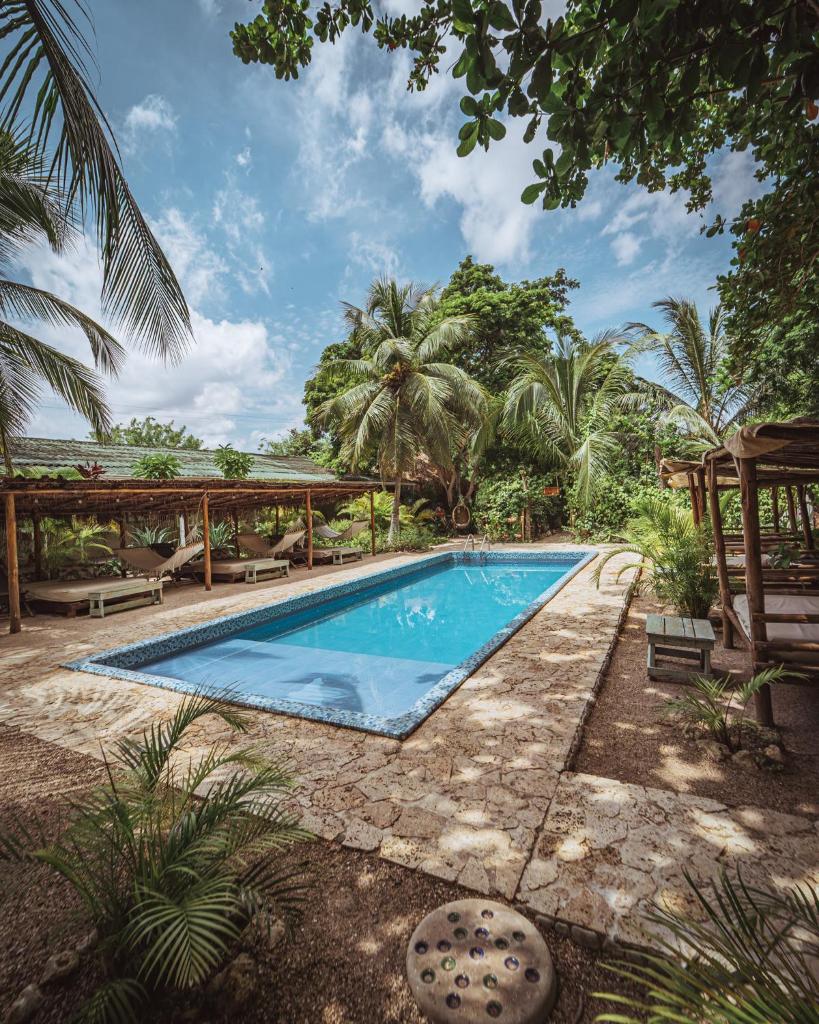 Namaste Beach Club & Hotel photo 3