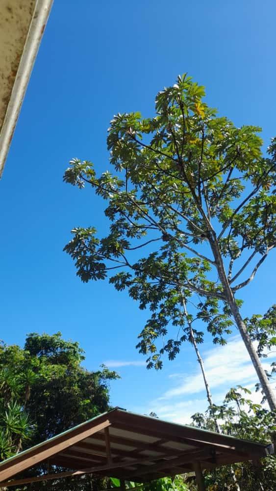 Corredores del Pacuare photo 2