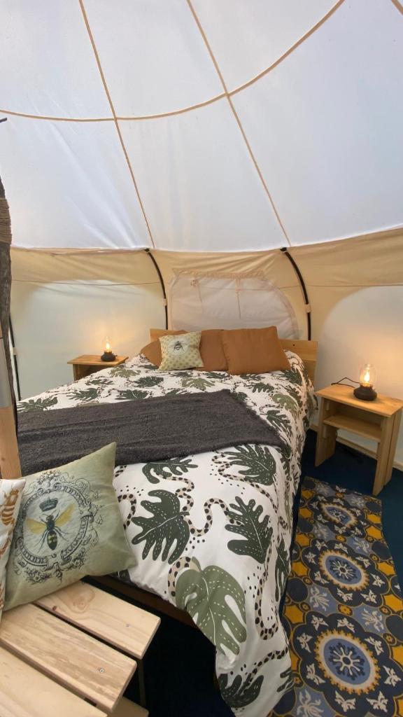 La Colmena Glamping photo 1