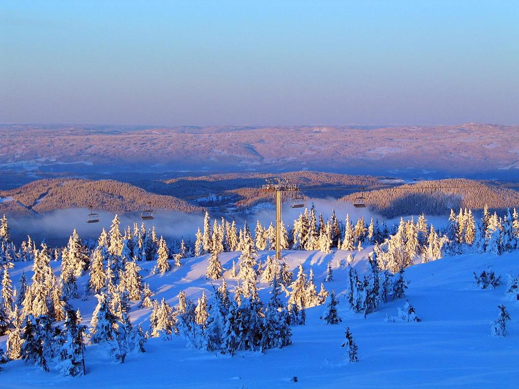 Sjusjøen Hytteutleie