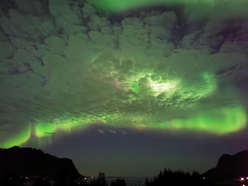 Rystad midnight sun and nature photo 3