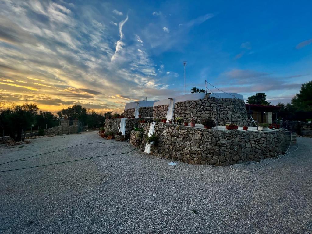 Trulli delle succulente photo 3