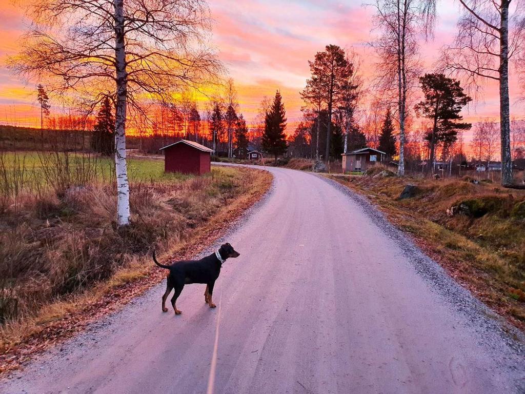 Prästänge photo 2