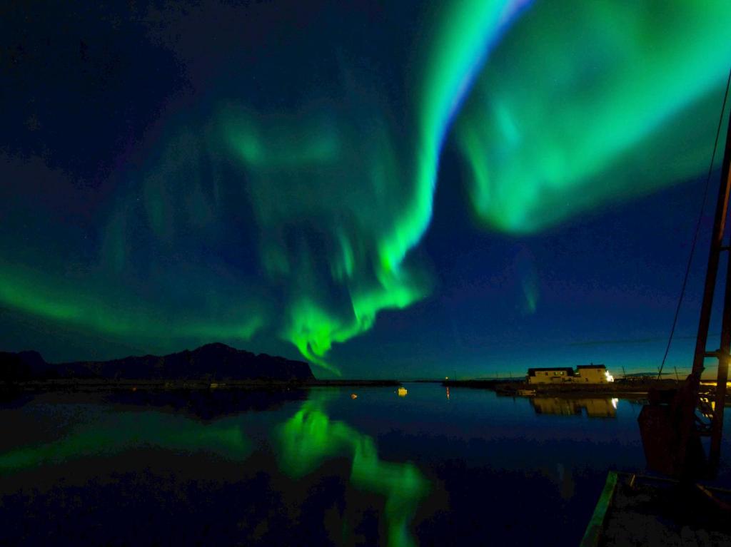 Silent Paradise Lofoten photo 1