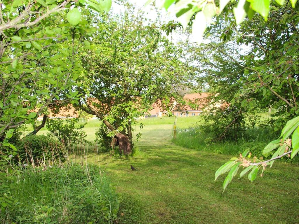 Holiday home Svaneke XXXVII photo 3