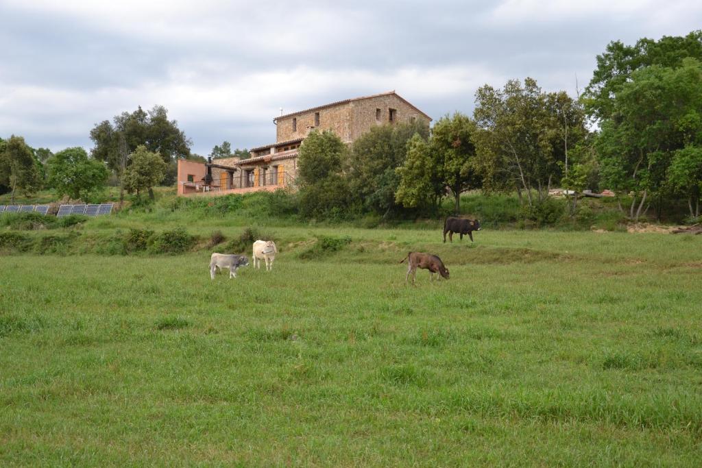 Masoveria De Lladó photo 4