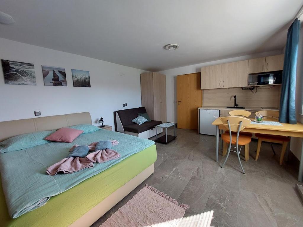 Studio apartma Žirovnik photo 2