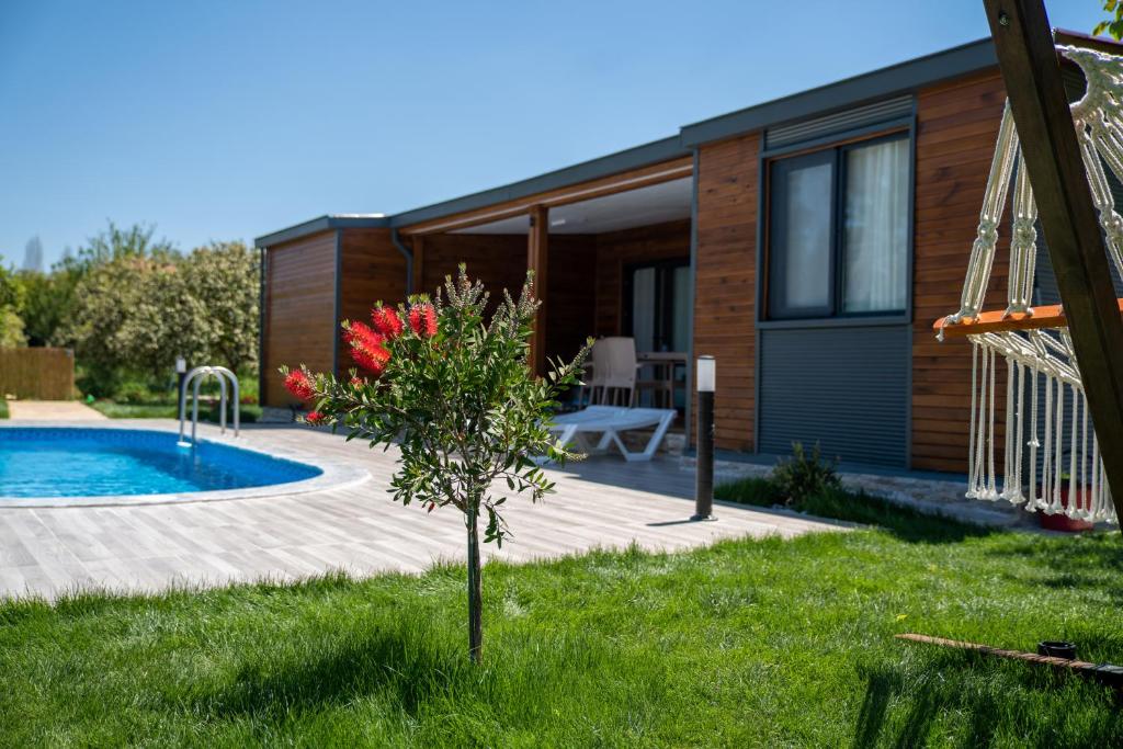 Villa Jasmin l photo 3