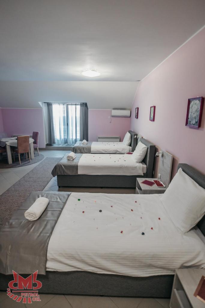 SOBE SVILAJNAC photo 3
