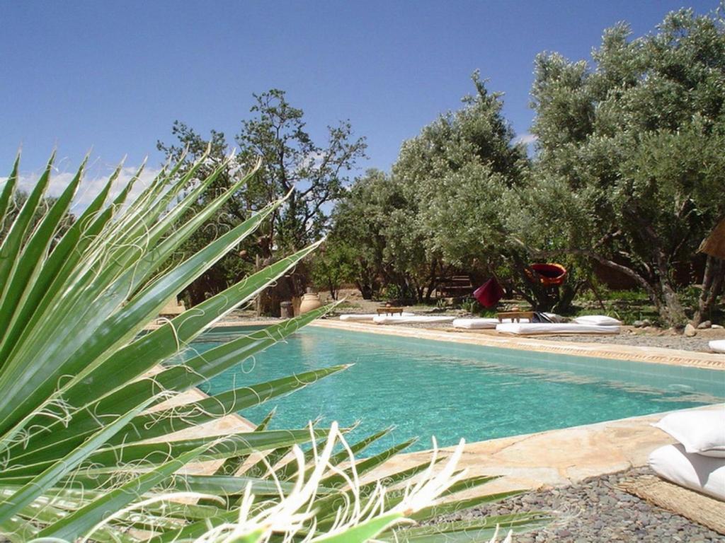 Les Jardins de Skoura photo 1
