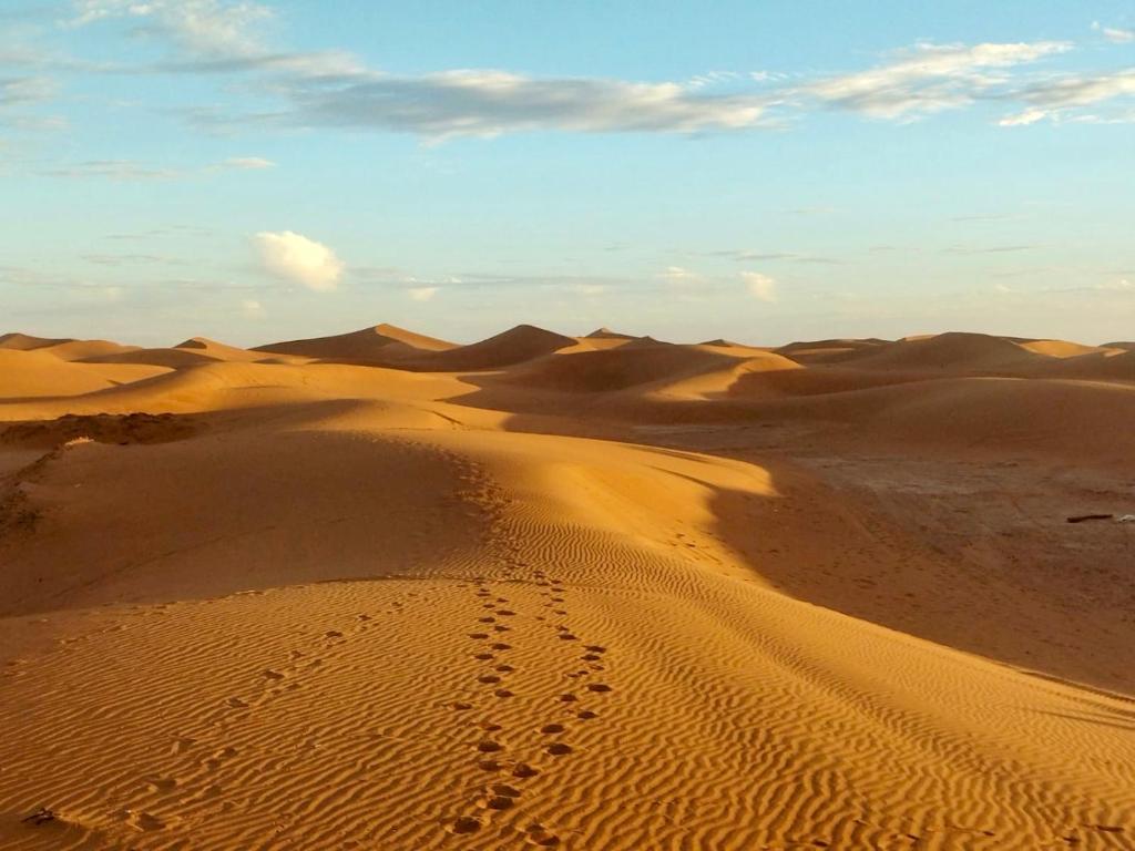 Desert Bivouac Mhamid photo 3