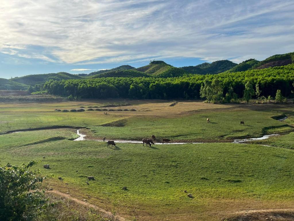 Nguyen Shack - Phong Nha Eco Resort