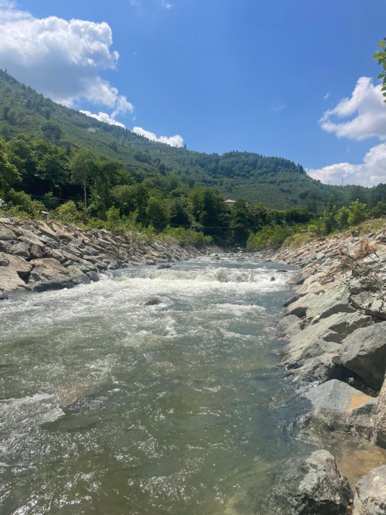 Yeşil ve huzur dolu bir daire photo 3