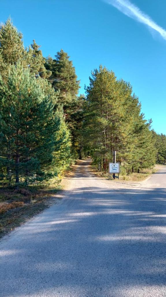 HOSTEL and VANDRARHEM LUPIN Naturcamping Lagom photo 1
