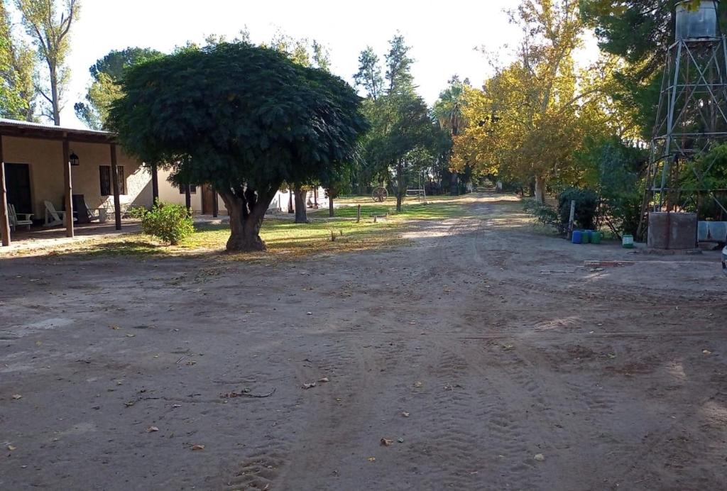 LAS CASUARINAS photo 1