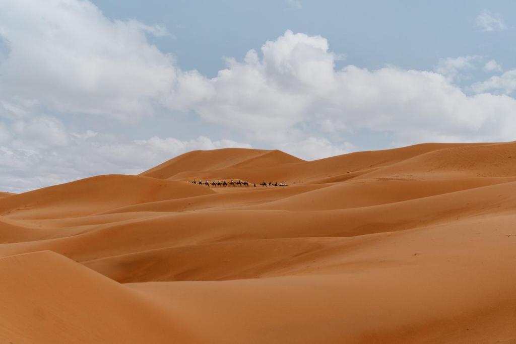Luxury Desert night photo 4